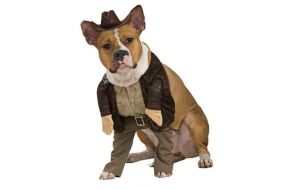 was soll ich verschenken - Hundekostüm Indiana Jones