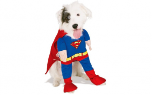 was soll ich verschenken - Superman Kostüm für Hunde